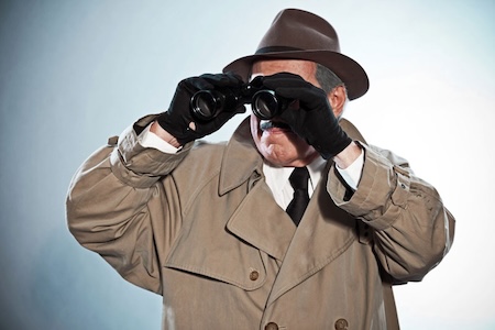 Child Custody Investigations